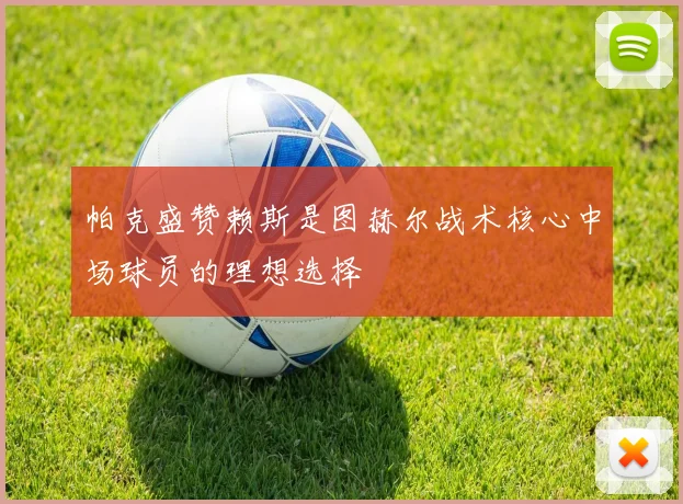 帕克盛赞赖斯是图赫尔战术核心中场球员的理想选择